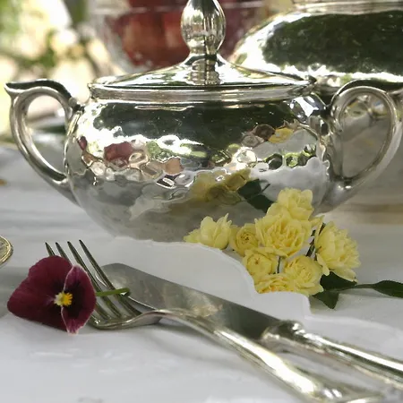 Casa Nobile Bed and breakfast Tovo San Giacomo