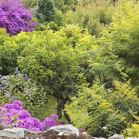 Casa Nobile Bed & Breakfast *